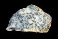 Nice dendritic opal Royalty Free Stock Photo