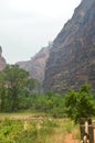 Nice Desfuladero With A Sinuous River Full Of Water Pools Where You Can Take A Good Bath In The Park Of Zion. Geology Travel Holid