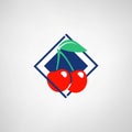 Nice design of cherry icon