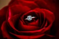 Close up of a wedding ring tucked into a single rose.