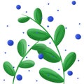 Nice digital illustration of a digital drawn green plant separeted on the white background. Pattern or object