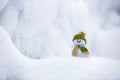 Nice dreaming snowman in green hat. Royalty Free Stock Photo