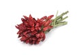 Nice dry red chili bundle Royalty Free Stock Photo