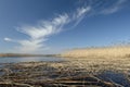 Nice early spring day on the lake. Yellow Reeds in the water under blue sky Royalty Free Stock Photo