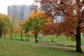 Nice fall day, with people strolling through Boston Common, 2014 Royalty Free Stock Photo