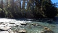 nice fast mountain ridge river with clear water at summer day - photo of nature Royalty Free Stock Photo