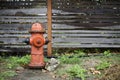 A nice fire hydrant in the rain Royalty Free Stock Photo