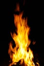A nice fire in a fire Royalty Free Stock Photo