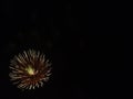 Fireworks in the night