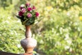 Nice flowers in the antique vase pot Royalty Free Stock Photo