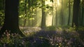nice forest view with green tree and sun beam Royalty Free Stock Photo