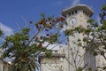 Historic lycee Massena in Nice