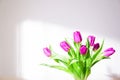 Nice fresh bouquet with pink tulips under bright sunlight on white background.