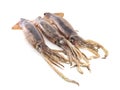 Nice fresh squid Royalty Free Stock Photo