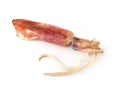 Nice fresh squid Royalty Free Stock Photo