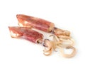 Nice fresh squid Royalty Free Stock Photo