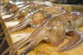 nice fresh squid on a fish market Royalty Free Stock Photo