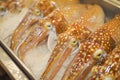nice fresh squid on a fish market Royalty Free Stock Photo