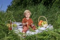 nice and funny fair-haired kid holds a big ripe carrot, basket with fruits on green grass Royalty Free Stock Photo