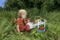 nice and funny fair-haired kid holds a big ripe strawberry, basket with fruits on green grass Royalty Free Stock Photo
