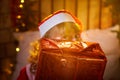 Nice girl in a red dress and hat of Santa with big red gift box in room decorated for Christmas. Woman in beautirul Royalty Free Stock Photo