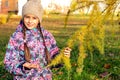 A nice girl walking in the autumn park approached a yellowed larch with small cones