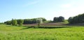 Road and beautiful trees in meadow, Lithuania Royalty Free Stock Photo