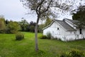 Nice green garden, white wooden cottage - yard