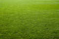 Nice Green Grass Texture Royalty Free Stock Photo