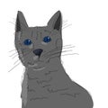 Nice grey cat on white background hand drawn illustration