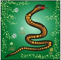 That is the nice illustration of Anaconda snake image