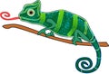 That is the nice art work of chameleon which is looking so attractive Royalty Free Stock Photo