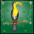 That is the nice illustration of toucan bird which is looking so attractive Royalty Free Stock Photo