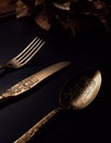 Nice image with spoon, knife, fork and golden accessory on the table