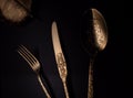 Close up image with spoon, knife, fork and golden accessory on the table Royalty Free Stock Photo