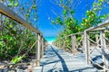 Nice inviting path, walkway through tropical garden toward the beach and ocean on sunny beautiful day