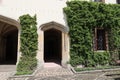 Nice ivy decorated doors and windows Royalty Free Stock Photo