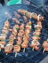 Nice kababs delicious Royalty Free Stock Photo