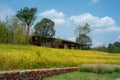 Nice Landscape of Blue sky white clouds green trees yellow wheat field Royalty Free Stock Photo