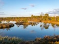 Nice landscape with evening and sunset over the bog lake, crystal clear lake and peat island in the lake and bog vegetation, bog Royalty Free Stock Photo
