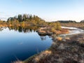 Nice landscape with evening and sunset over the bog lake, crystal clear lake and peat island in the lake and bog vegetation, bog Royalty Free Stock Photo