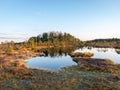 Nice landscape with evening and sunset over the bog lake, crystal clear lake and peat island in the lake and bog vegetation, bog Royalty Free Stock Photo