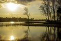 Nice landscape reflection in water of lake with tree on sunrise or sunset in autumn. morning   evening holiday Royalty Free Stock Photo