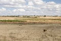 Nice landscape of straw bales in the field