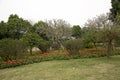 Landscapes flower bed in Qingxiu mountain Nanning Royalty Free Stock Photo