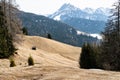 Late winter landscape in the dolomites , close to the Kronplatz, a famous mountain for skiers