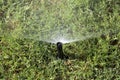 Nice lawn sprinkler background Royalty Free Stock Photo