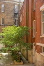 Nice Little Courtyard between a couple of buildings