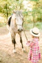 A nice little girl with light curly hair in a vintage plaid dress and a straw hat and a gray horse. Horses a