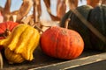 Nice little pumpkins on shabby shelf as decoration outdoors. Royalty Free Stock Photo